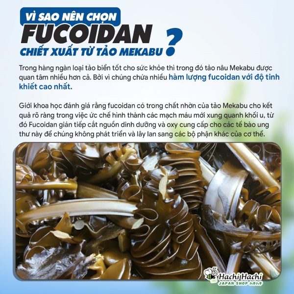 Vien-uong-fucoidan-fine-japan-ho-tro-tri-ung-thu-tang-de-khang.jpg